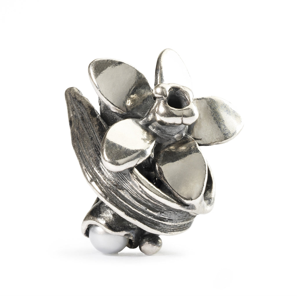 Trollbeads SILVER Narcissus of December TAGBE-00038