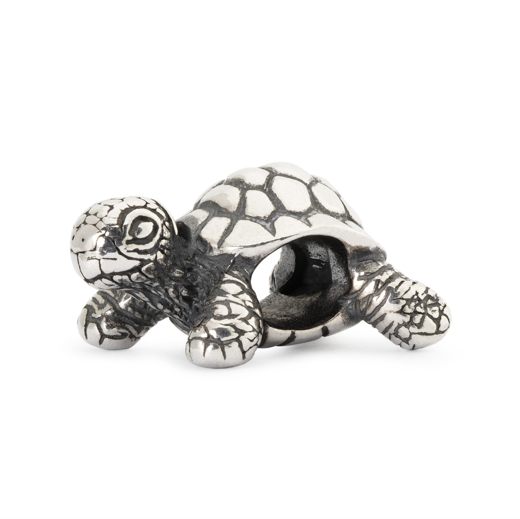Trollbeads African Tortoise Silver Charms TAGBE-20049