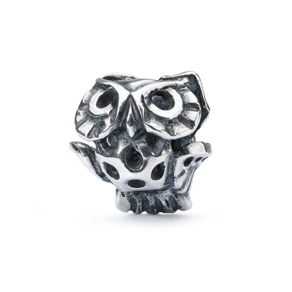 Trollbeads Silver Wise Owl charms