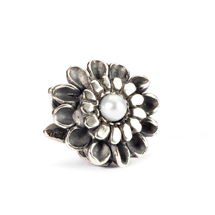 Trollbeads Chrysanthemum of November