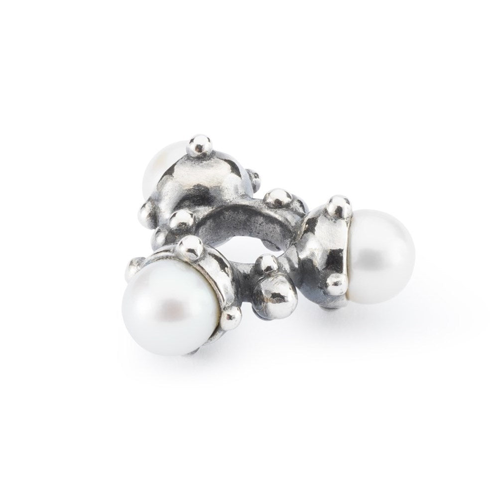Charms trollbeads 2019 sale
